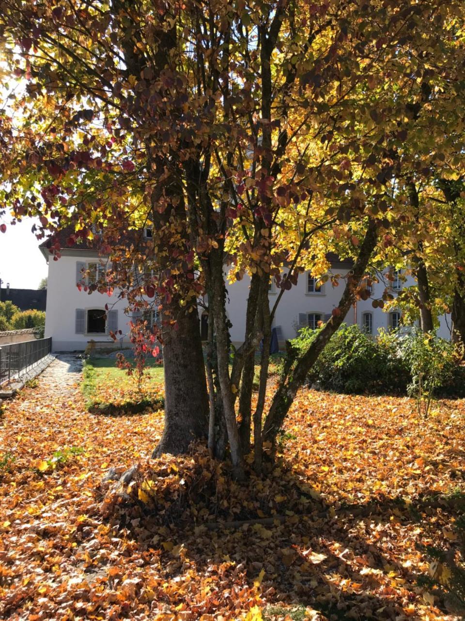Manoir De La Cote-Dieu Pruntrut Exterior foto